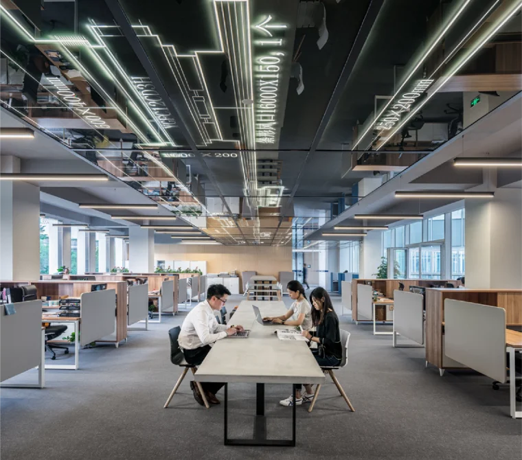 Estela oficina cubiculos